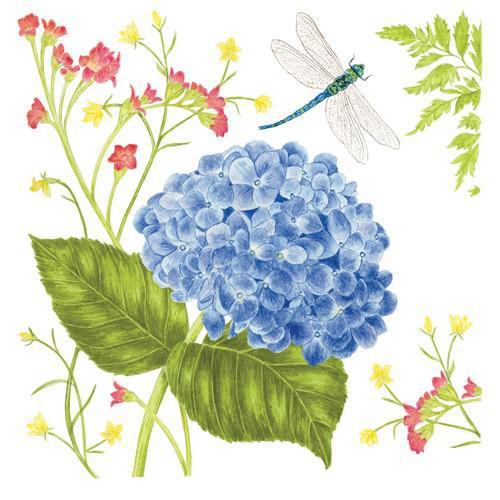 Flour Sack Towel Set | Hydrangea & Butterfly