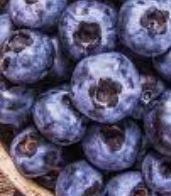 Oceanside Jams | Wild Native Huckleberry Jam