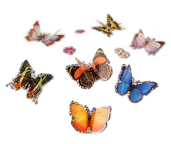 3D Butterfly Stickers