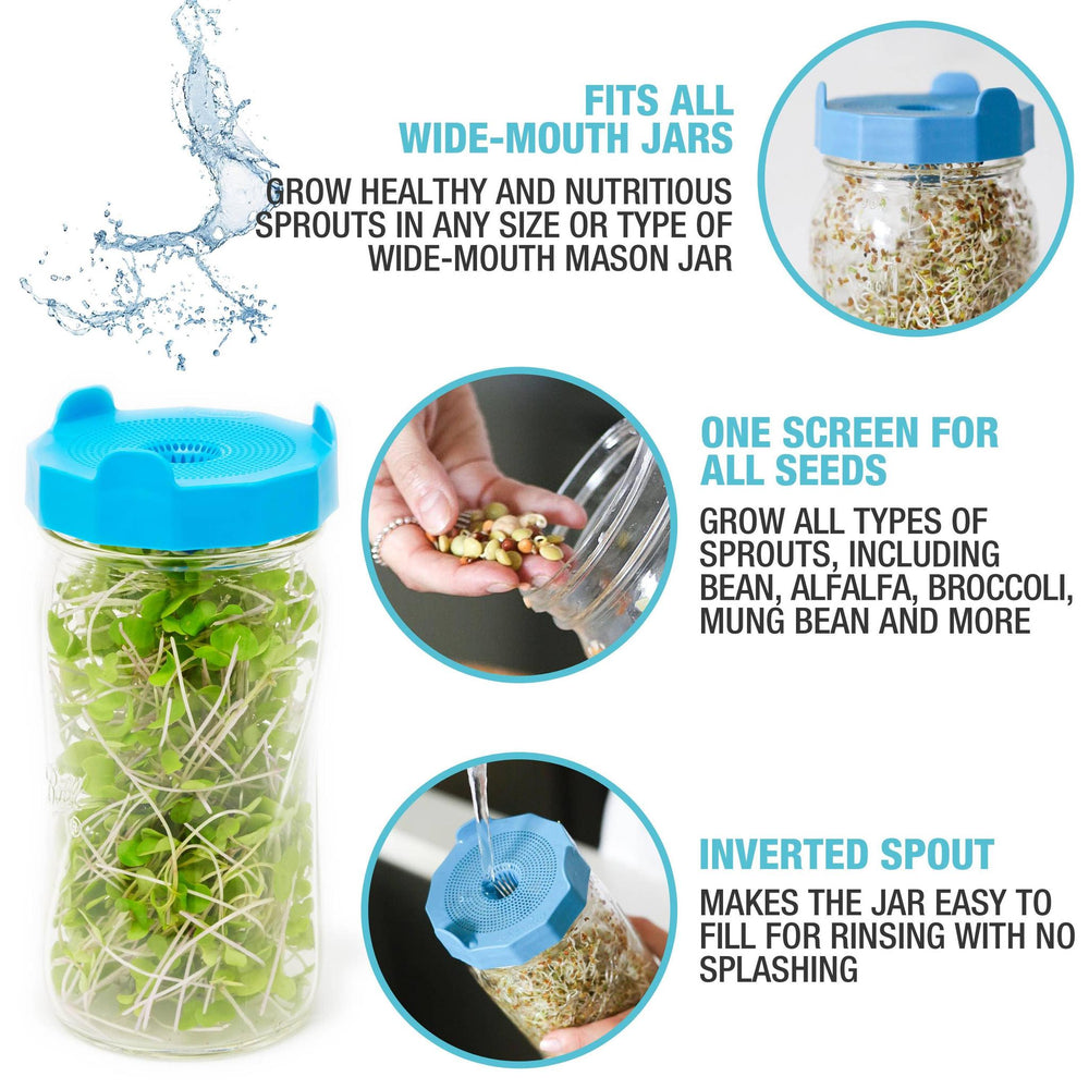 Bean Screen Sprouting Lids | Wide Mouth