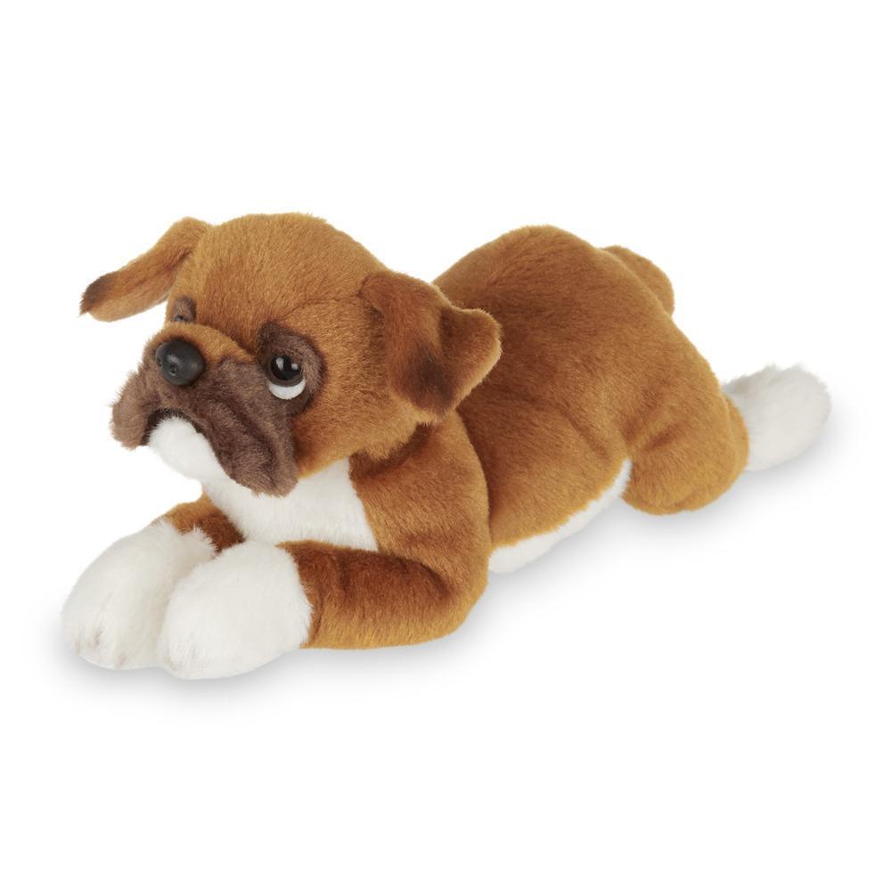 Lil' Roscoe the Boxer