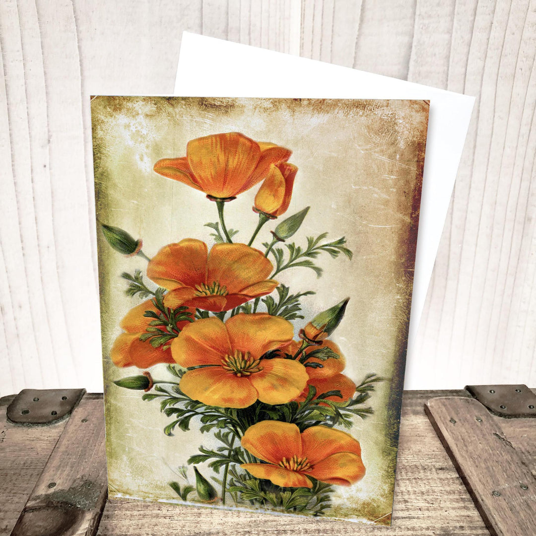 California Poppy Everyday Card by Yesterday's Best