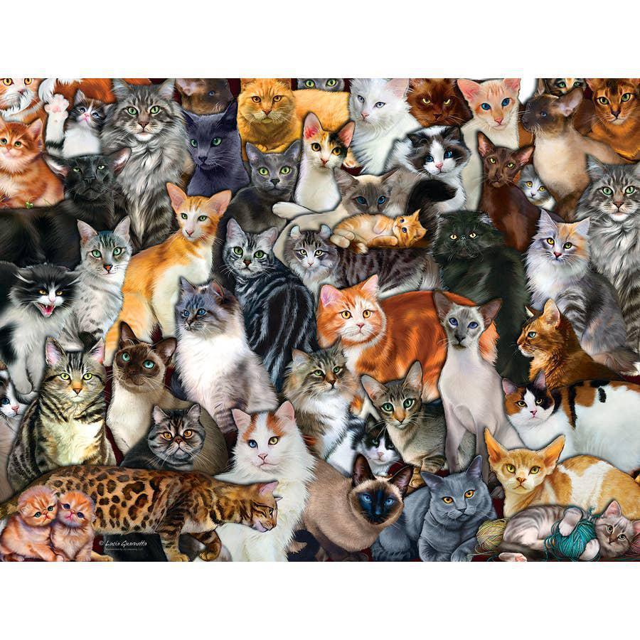 Cat Collage 300 Piece Puzzle