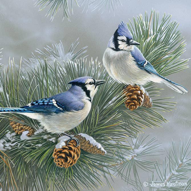 Coaster "Winter Blue Bird"