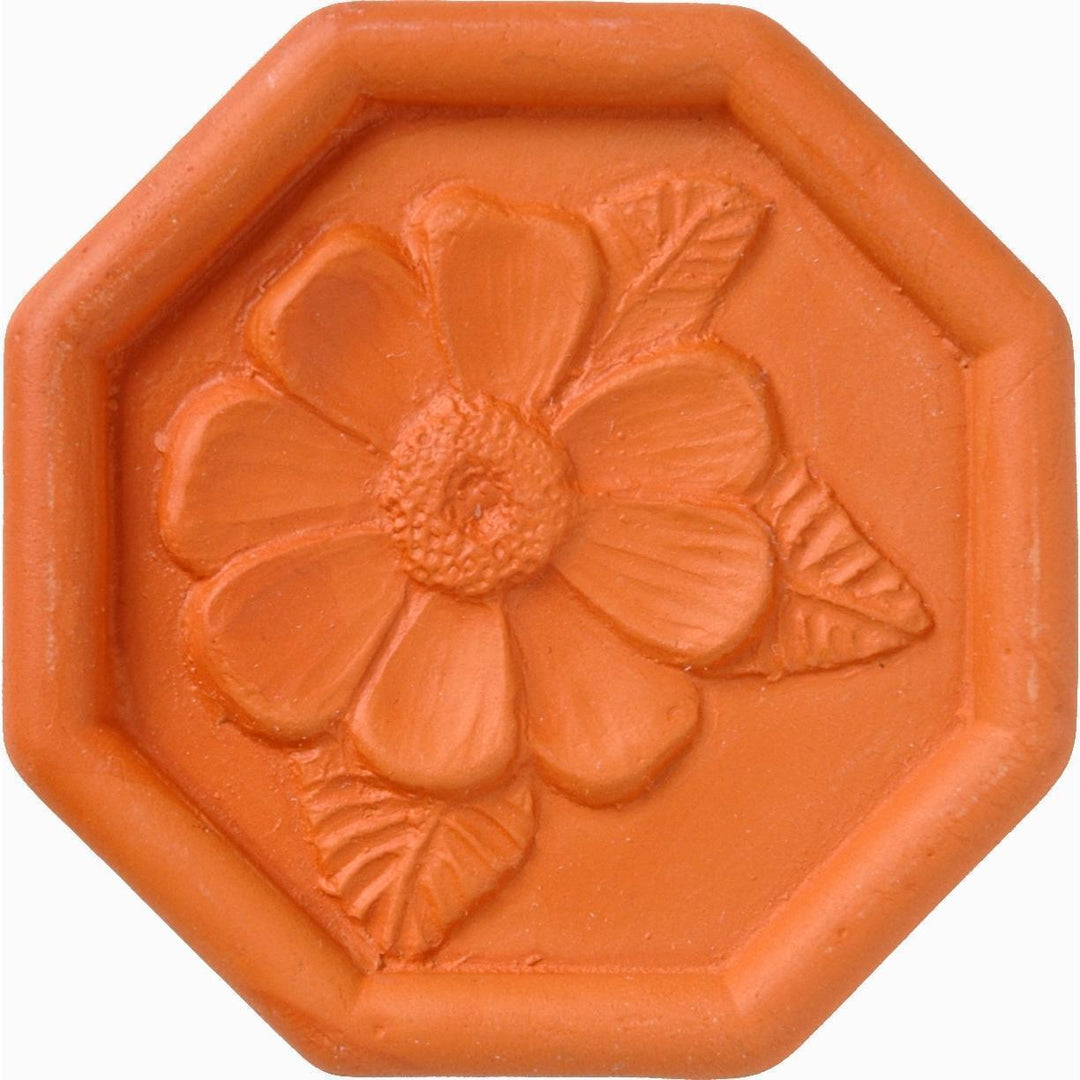 Brown Sugar Saver Daisy