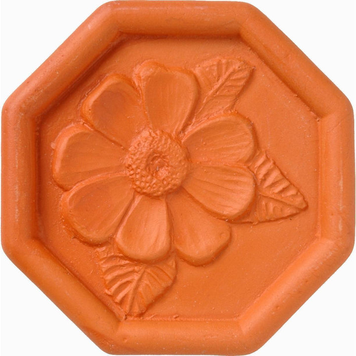 Brown Sugar Saver Daisy