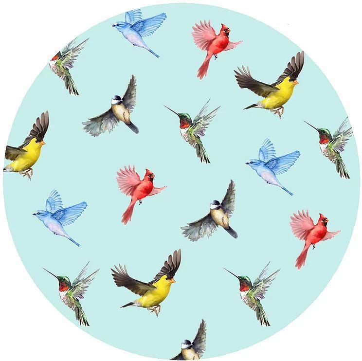 Decorative Silicone Jar Opener Multi Birds Blue