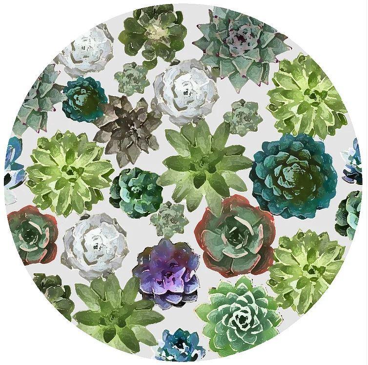 Decorative Silicone Jar Opener Succulents