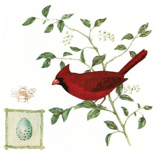 Designer Flour Sack Towel Set of 2 Cardinal with Egg
