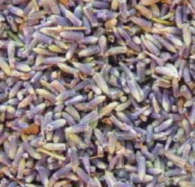 Dried Lavender Flowers - Golden Gait Mercantile