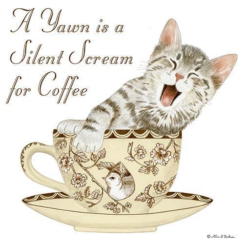 Flour Sack Towel Set  A Yawn Cat
