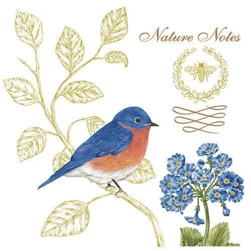 Flour Sack Towel Set Blue Bird