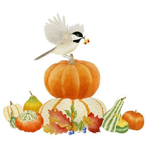 Flour Sack Towel Set Fall Chick