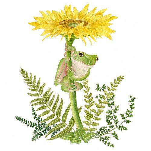 Flour Sack Towel Set Frog