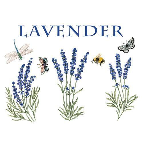 Flour Sack Towel Set Lavender Sprigs
