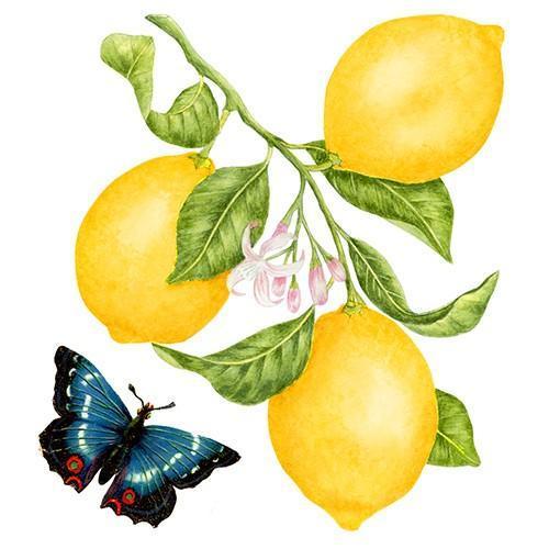 Flour Sack Towel Set Lemons