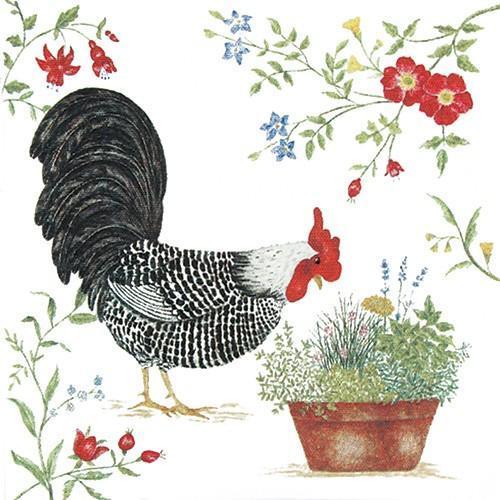 Flour Sack Towel Set Rooster