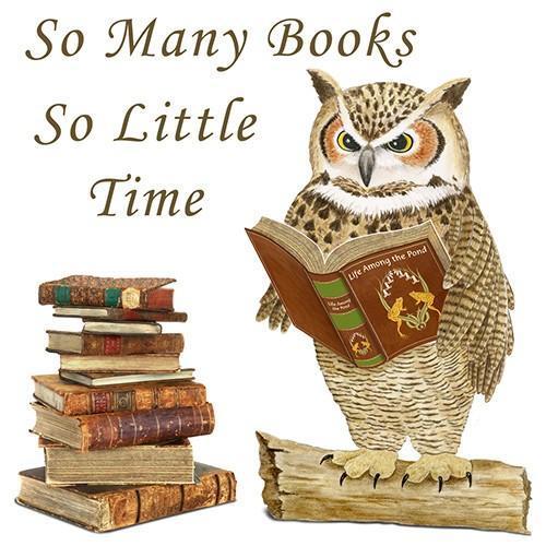 Flour Sack Towel Set  So Many Books Owl