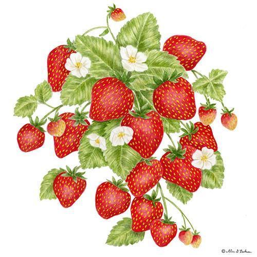 Flour Sack Towel Set Strawberries