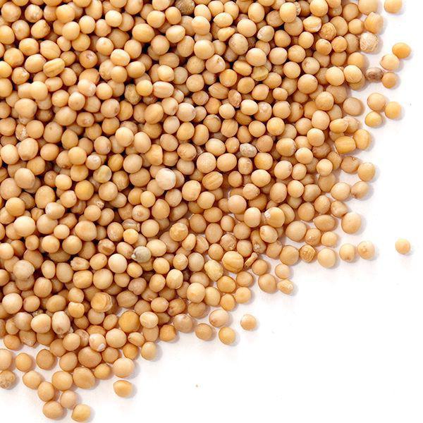 Golden Gait Mercantile Spices | Mustard Seed