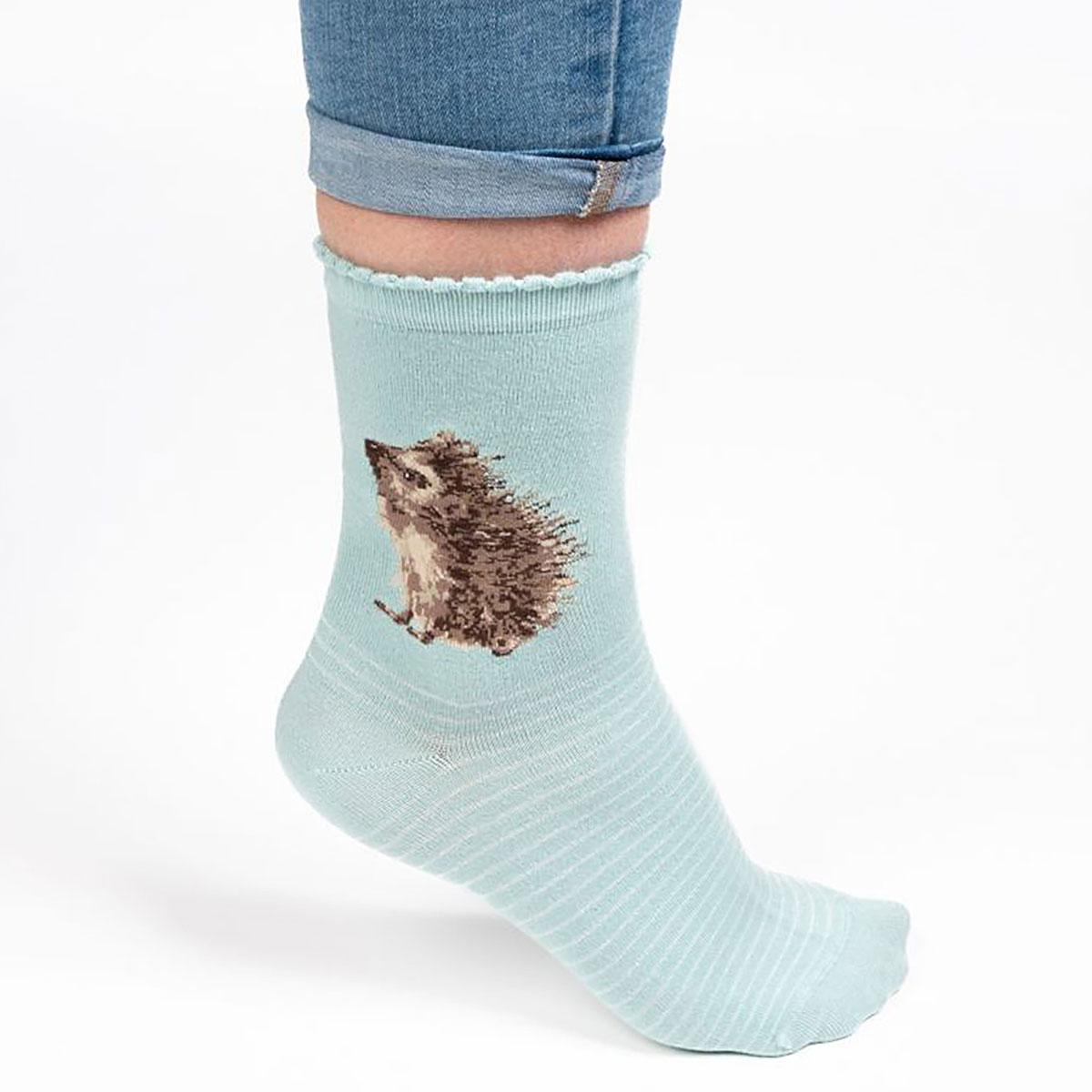 Hedgehog "Hedgehugs" Socks by Wrendale