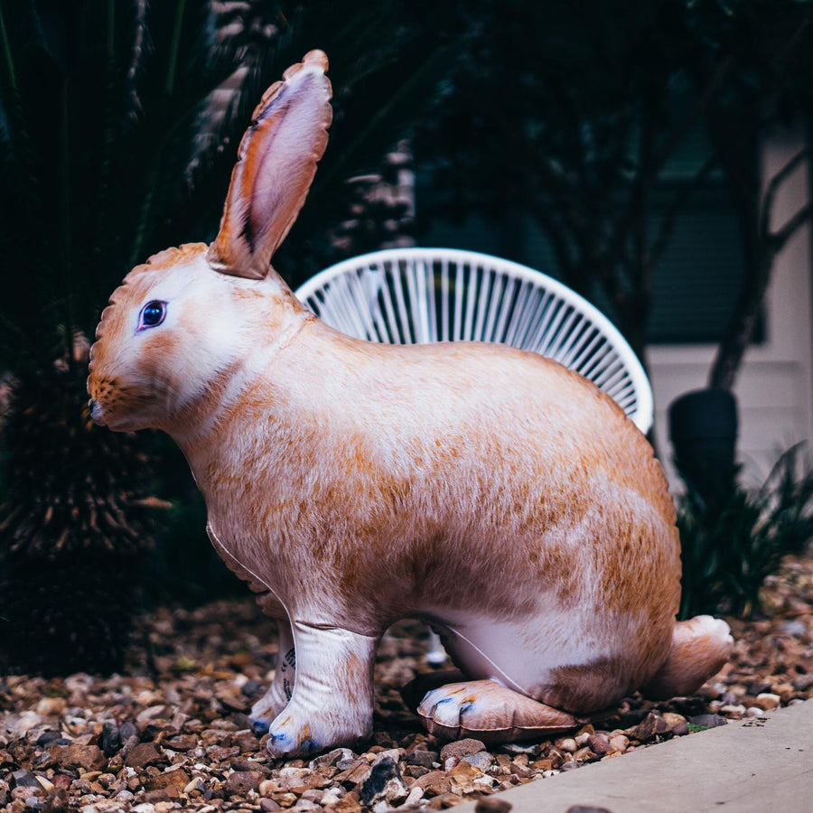 Inflatable Rabbit