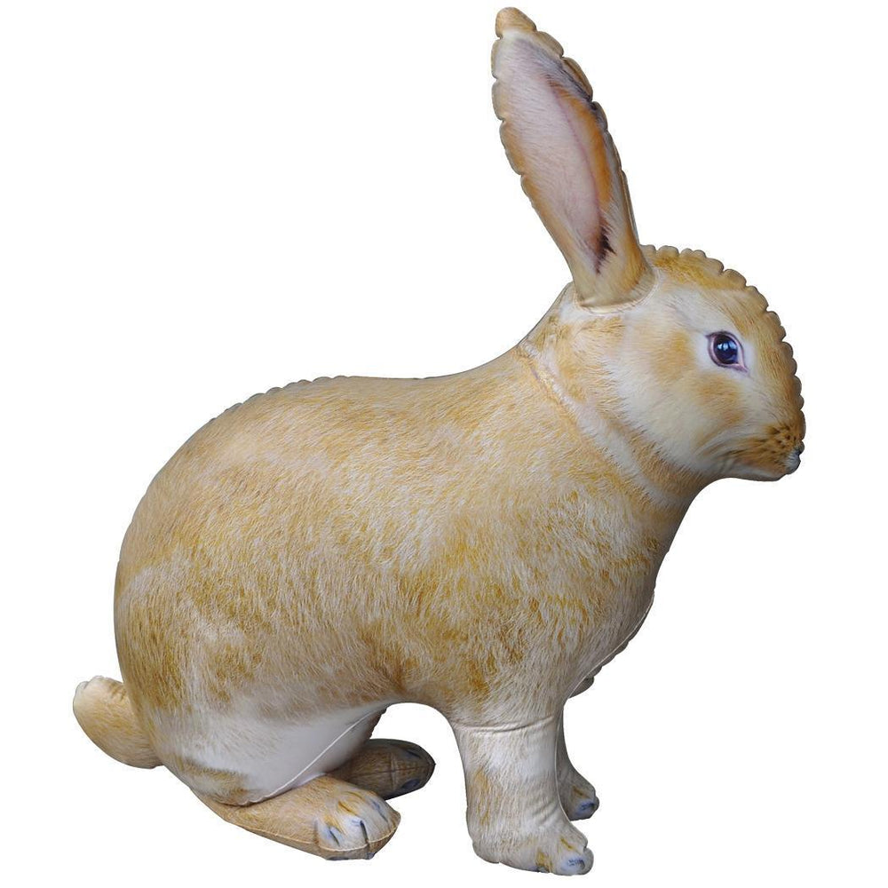 Inflatable Rabbit