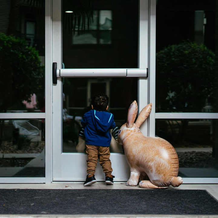 Inflatable Rabbit
