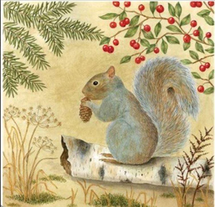 Kitchen Potholder Squirrel