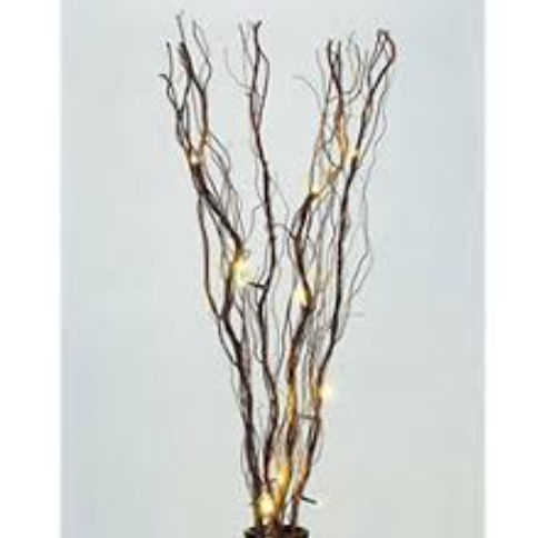 Lighted Branch by Everlasting Glow