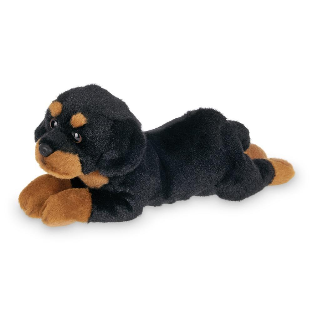 Lil' Gunner the Rottweiler