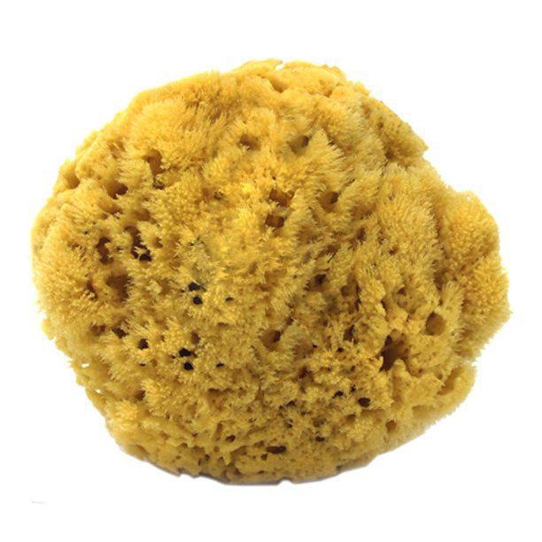 Natural Cosmetic Sea Sponge