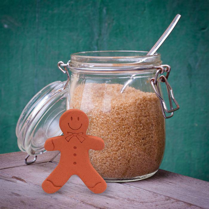 Original Brown Sugar Saver | Gingerbread Girl