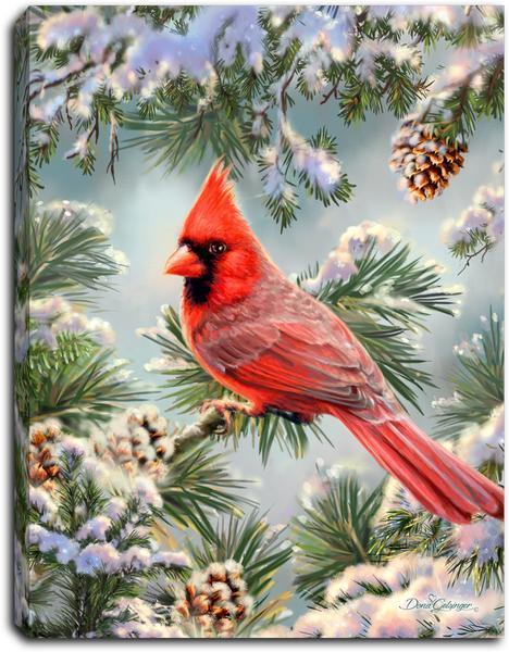 Snowy Pine Cardinal - Lighted Tabletop Canvas