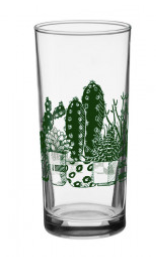 Succulent Art Beer Glass Tumbler Heavybase 15oz