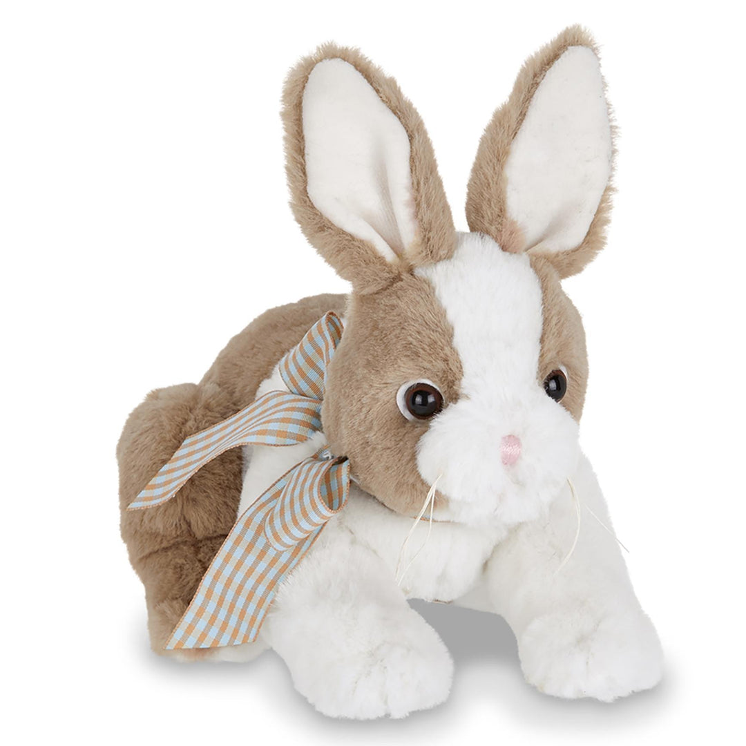 Toffee the Brown and White Bunny