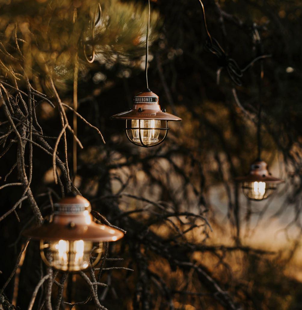 Barebones Living Edison String Lights