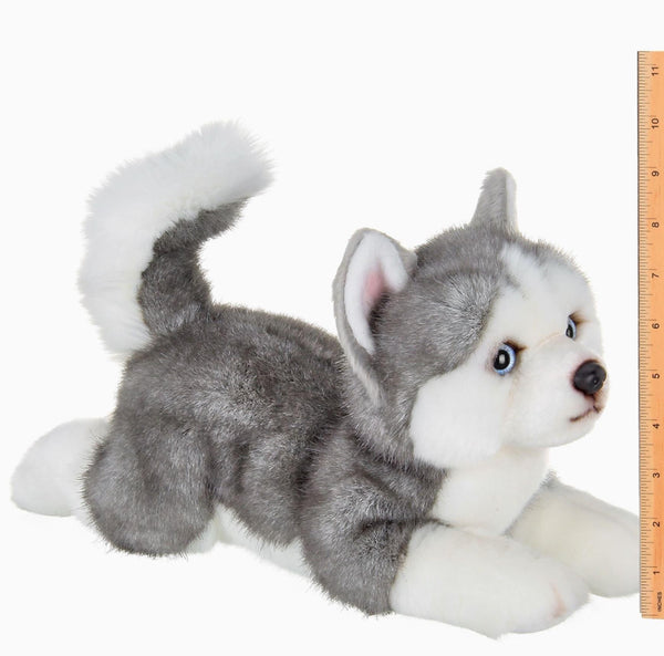 Bearington Collection | Manouk Husky Dog