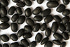 Zürsun Idaho Heirloom Beans  1.5 Pound Bag Black Turtle Beans Zürsun Idaho Heirloom Beans  1.5 Pound Bag