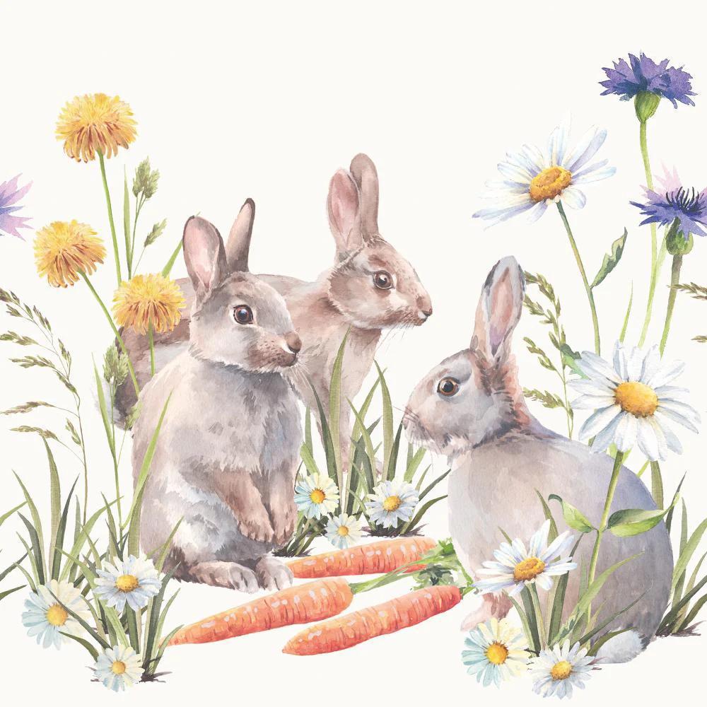 Lunch Napkin 6.5" x 6.5" CARROT TREAT Lunch Napkin 6.5" x 6.5"