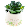 Animal Shaped Succulent Pot Cat