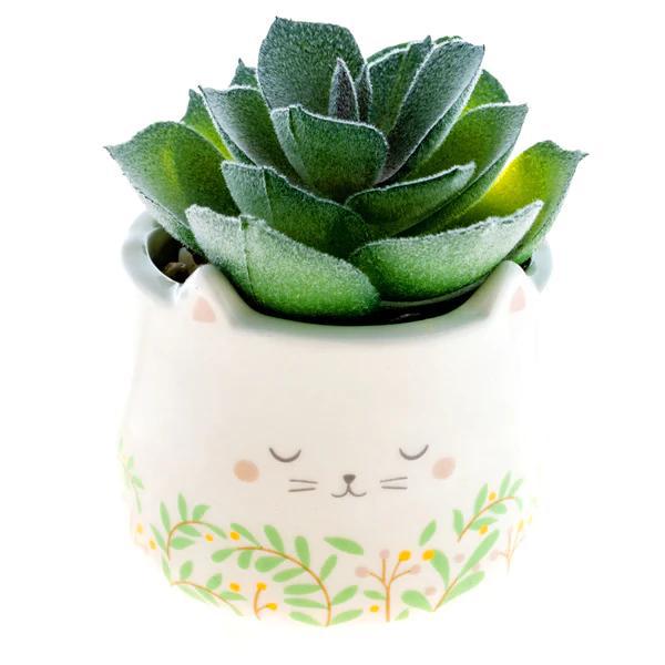 Animal Shaped Succulent Pot Hedgehog