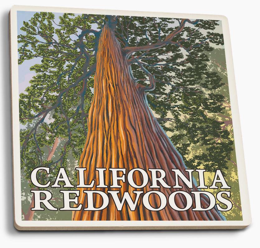 Ceramic Coaster | California Redwoods Looking Up Tree Ceramic Coaster | California Redwoods Looking Up Tree