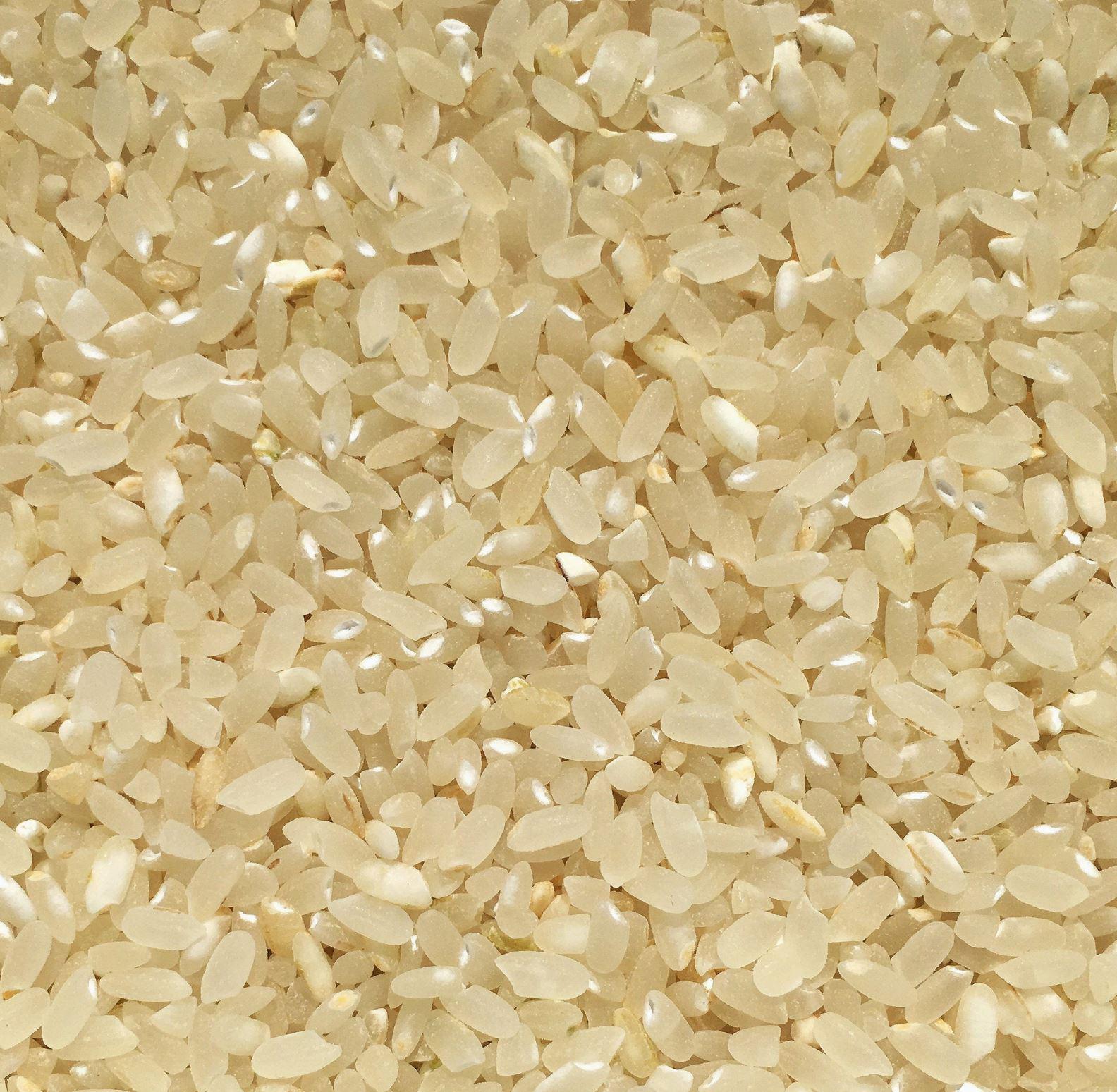Chico Rice | Blonde Milled Califor﻿nia Japonica