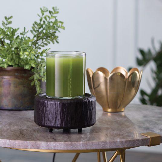Classic 2-In-1 Fragrance Warmer | Primitive Black Classic 2-In-1 Fragrance Warmer | Primitive Black