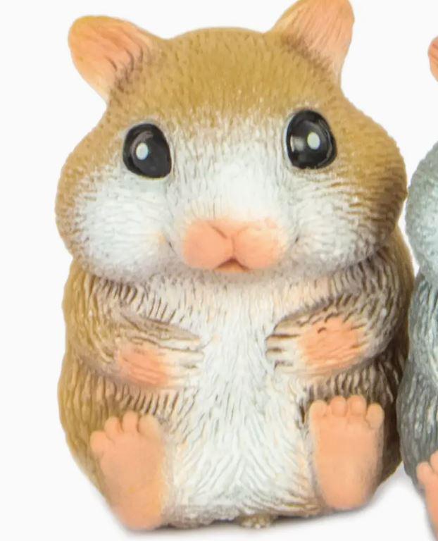 Cute Squidgy Hamster