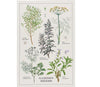 Dishtowel | Garden Herbs