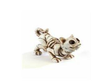 Dog or Cat Skeleton Figurine