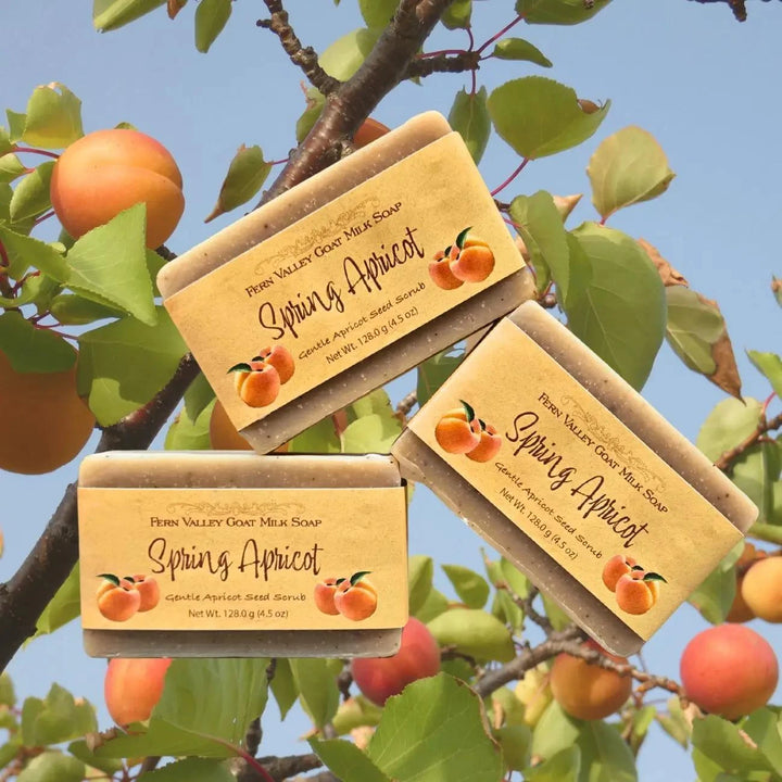 Fern Valley Handmade Goat Milk Soap | Spring Apricot Exfoliating Scrub Fern Valley Handmade Goat Milk Soap | Spring Apricot Exfoliating Scrub