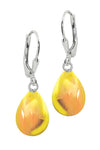 LeightWorks Crystal Drop Earrings Sterling Silver Fire LeightWorks Crystal Drop Earrings Sterling Silver